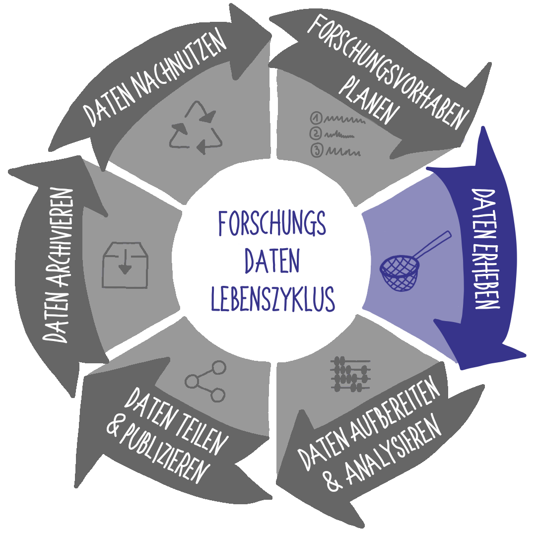 FD-Lebenszyklus Schritt 2 Daten erheben