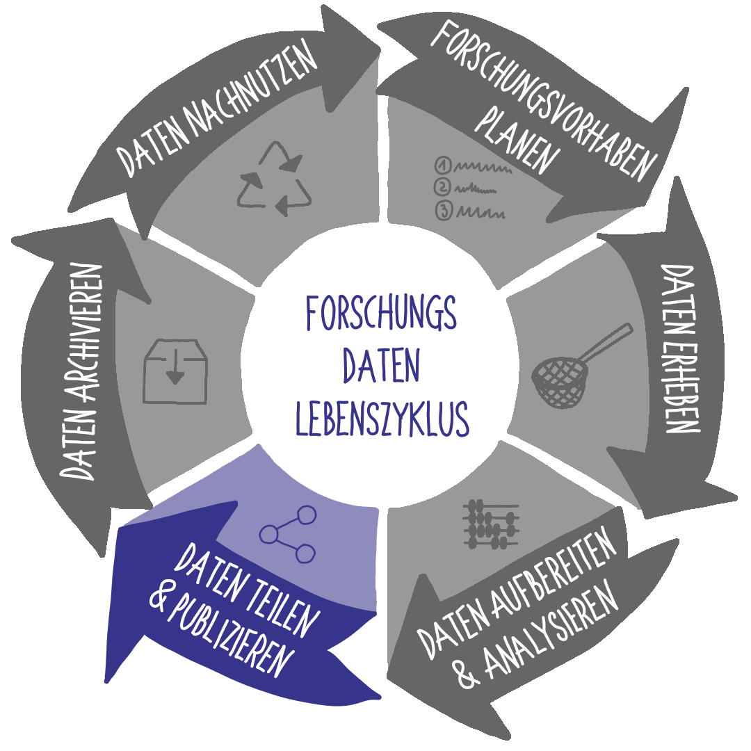 FD-Lebenszyklus Schritt 4